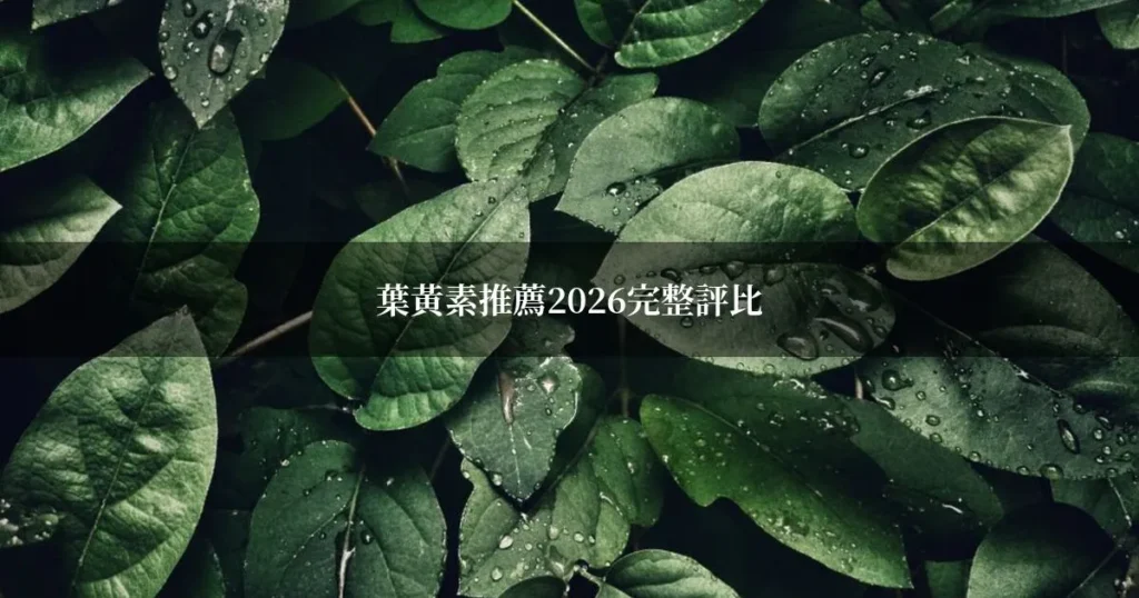 葉黃素推薦2026完整評比:藥師教你怎麼挑適合自己的品牌 1 葉黃素推薦2026評比,大樹藥局葉黃素