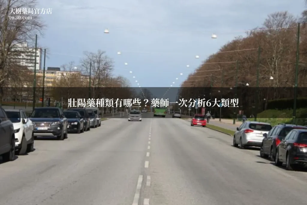 壯陽藥種類有哪些?藥師一次分析6大類型效果 4 tw30 article 1783271994