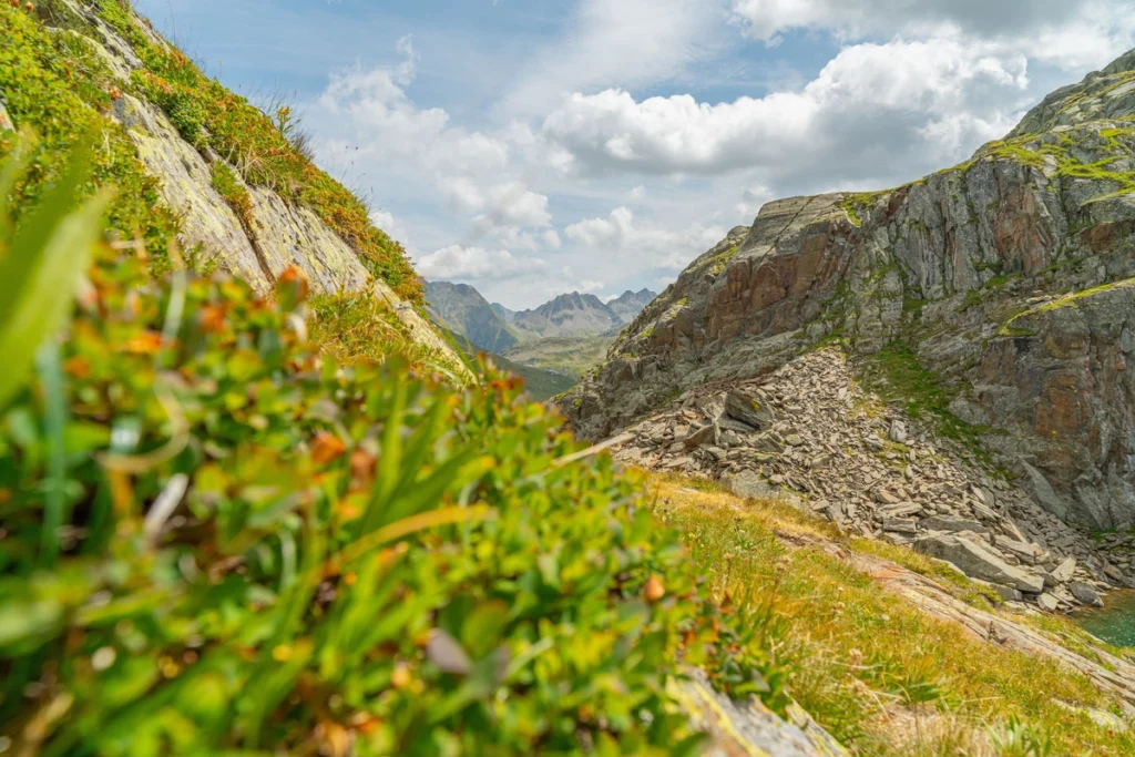 威而鋼高山症有效嗎?藥師完整解析高山症用藥原理、劑量與注意事項 9 tw30 cover